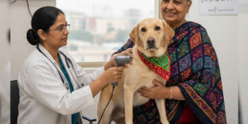 AMCનું નવું તિકડમ, અમદાવાદમાં પાળતુ કૂતરામાં હવે RFID ચિપ લગાવાશે, જાણો તેનાથી શું થશે? | amc rfid c…