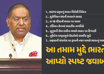 ‘NATO પ્રમુખ ભવિષ્યમાં આવા નિવેદનો આપતા પહેલા વિચારે’, ભારતનો જડબાતોડ જવાબ | India Reaction US H1B V…