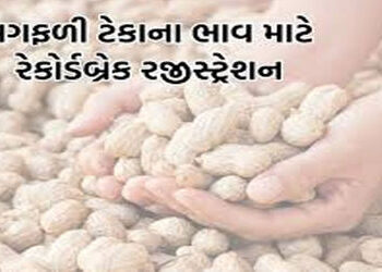 ખેડૂતોની સંખ્યા ડબલ થઈ જતાં 200ને બદલે 70 મણ ખરીદીના નિર્ણયનો વિરોધ | Opposition to decision to purc…