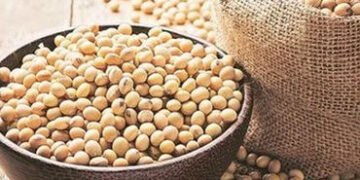ભારત-ચીનની કિલ્લેબંધી : અમેરિકન સોયાબીનના કોઈ ખરીદદાર જ નહીં | India China standoff: No buyers for A…