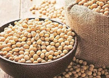 ભારત-ચીનની  કિલ્લેબંધી : અમેરિકન સોયાબીનના કોઈ ખરીદદાર જ નહીં