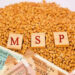 1 નવેમ્બરથી ડાંગર, બાજરી, જુવાર, સહિતની લઘુતમ ટેકાના ભાવે ખરીદી કરાશે, રૂ. 300નું બોનસ પણ મળશે | msp…
