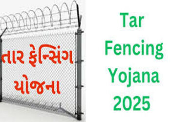 ભાવનગર જિલ્લાના 1127 ખેડૂતોએ 3 ફેસમાં તાર ફેન્સિંગની અરજી મંજૂર | 1127 farmers of Bhavnagar district…