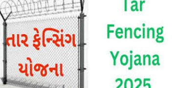 ભાવનગર જિલ્લાના 1127 ખેડૂતોએ 3 ફેસમાં તાર ફેન્સિંગની અરજી મંજૂર | 1127 farmers of Bhavnagar district…