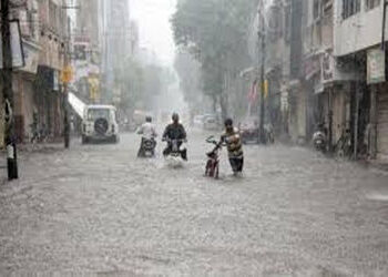 મહુવામાં બીજા દિવસે પણ અર્ધો ઈંચ વરસાદ | Half an inch of rain in Mahuva for the second day