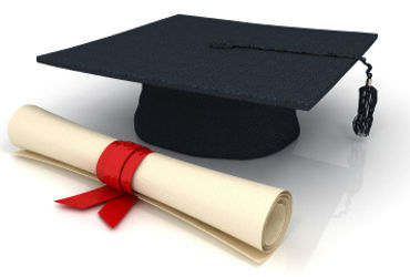 વિદ્યાર્થીઓએ આ વર્ષે ડિગ્રી અથવા ઓનર્સ ડિગ્રીનો વિકલ્પ પસંદ કરવો પડશે | msu students have to choose …