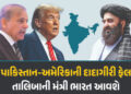 પાકિસ્તાન-અમેરિકાને ઝટકો, તાલિબાની મંત્રી ભારત આવશે, 5 પોઇન્ટમાં જાણો તમામ માહિતી | Taliban Minister…