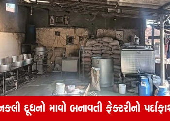 સિહોરના દેવગણા ગામે નકલી માવો બનાવતી ફેક્ટરી ઝડપાઈ | Factory manufacturing fake mawa busted in Devga…