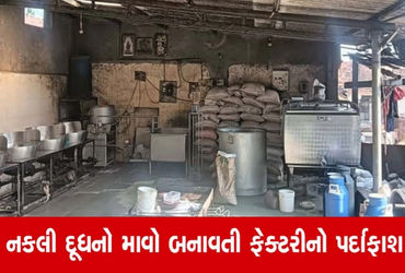 સિહોરના દેવગણા ગામે નકલી માવો બનાવતી ફેક્ટરી ઝડપાઈ | Factory manufacturing fake mawa busted in Devga…