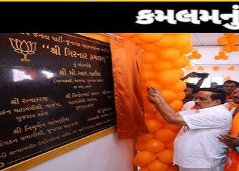 કોંગ્રેસે વોટ ચોર ગણાવેલો ભાજપ જૂનાગઢમાં વેરા ચોર પણ નીકળ્યો! | Congress called BJP a vote thief but…