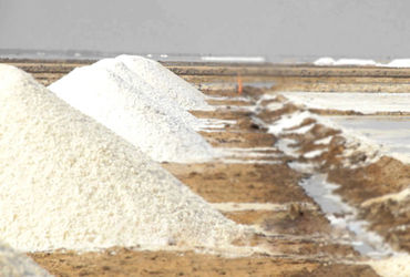 મુલેરગામની ચોગલે સોલ્ટ કંપનીમાંથી બે બાળ મજૂરોને મુક્ત કરાવ્યા | Two child laborers released from Ch…