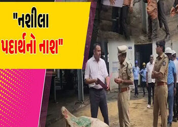 ભાવનગરમાંથી નાર્કોટીક્સ ગુનામાં કબ્જે કરેલ 1154 કિ.ગ્રા.મુદ્દામાલનો નાશ કરાયો | 1154 kg of narcotics…