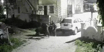 VIDEO: ગોધરામાં ગૌતસ્કરો કેમેરામાં કેદ, સ્થાનિક જાગી જતાં ચાર જણાં કાર લઇને ભાગ્યા | Cow Smuggling A…