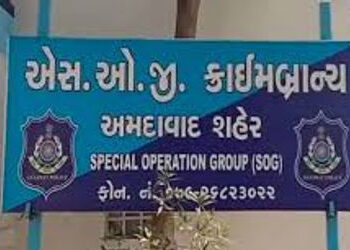 ૫૦ લાખના હાઇબ્રીડ ગાંજાના કેસમાં સ્ટેટ ટ્રાફિક પોલીસ કર્મીની સંડોવણી | SOG founded involvement of st…