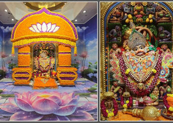શરદ પૂનમ: સાળંગપુરમાં કષ્ટભંજન દાદાએ ડાયમંડના મુકુટમાં આપ્યા દર્શન, 200 કિલો ફૂલનો શણગાર | Salangpur…