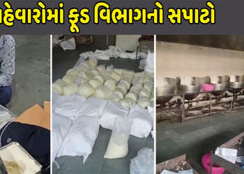 દિવાળી પૂર્વે વધુ એક ભેળસેળયુક્ત માવો બનાવતી ફેક્ટરી ઝડપાઈ | Another factory manufacturing adulterat…