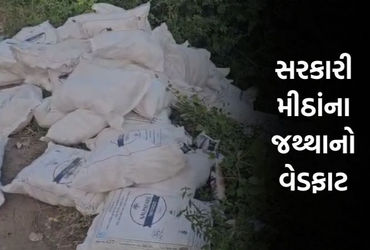પંચમહાલમાં રોડ કિનારે બિનવારસી હાલતમાં સરકારી મીઠાંનો જથ્થો મળ્યો, તંત્ર સામે ગંભીર સવાલ ઊઠ્યાં | pa…