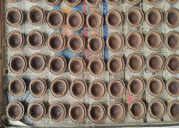 અમરેલીના ઝરખિયાની દીકરીના આત્મનિર્ભરતા તરફ પ્રેરક કદમ | Inspiring steps towards self reliance by Amr…