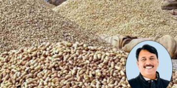 ‘માત્ર 70 મણ મગફળી ટેકાના ભાવે ખરીદવી એ ખેડૂતો સાથે અન્યાય’, અમિત ચાવડાના ભાજપ સરકાર પર પ્રહાર | Ami…
