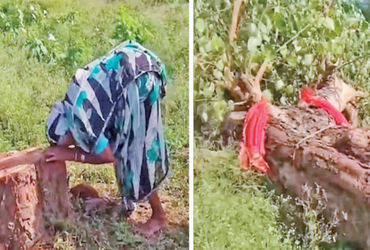 છત્તીસગઢમાં 20 વર્ષથી ઉછરેલું વૃક્ષ કપાતા 85 વર્ષનાં વૃદ્ધાંનું કલ્પાંત | An 85 year old woman’s ang…