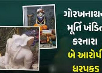 ગોરખનાથ શિખરે પૂજારીએ જ તોડફોડ કરી મૂર્તિ ફેંકી દીધી હતી | The priest himself vandalized and threw t…