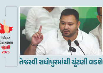 બિહાર : તેજસ્વી યાદવે મહાગઠબંધનનું વધાર્યું ટેન્શન, રાધોપુરમાંથી ચૂંટણી લડશે, 140 બેઠકો પણ માંગી