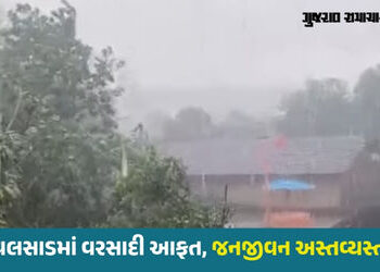 દક્ષિણ ગુજરાતમાં તોફાન સાથે વરસાદ, વાપીમાં વીજળી પડતા 2ના મોત, વૃક્ષો-વીજપોલ ધરાશાયી | Rain in Valsa…
