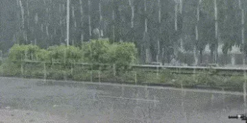 દક્ષિણ ગુજરાતમાં દિવાળી ટાણે વરસાદ પડવાની હવામાન વિભાગની આગાહી | moderate rains forecast in South Gu…