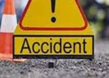 પુત્રને સારવાર માટે લઇ જતા અકસ્માત નડતા મોત | Son dies in accident while being taken for treatment
