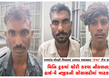 મિનિ ટ્રકમાં ચોરી કરવા નીકળતા, હાઈ-વે નજીકની સોસાયટીમાં ત્રાટકતા | While going out to steal in a min…