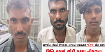 મિનિ ટ્રકમાં ચોરી કરવા નીકળતા, હાઈ-વે નજીકની સોસાયટીમાં ત્રાટકતા | While going out to steal in a min…