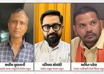 VIDEO: ‘માપમાં રે, એટ્રોસિટીમાં ફસાવી દઇશ’ ભાજપ નેતાનું કોલ રેકોર્ડિંગ વાઇરલ | Audio threatening a B…