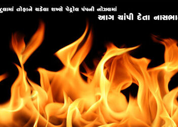 રાજુલામાં તોફાને ચડેલા શખ્સે પેટ્રોલ પંપની નોઝલમાં આગ ચાંપી દેતા નાસભાગ | A stampede ensues as a man…