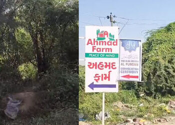 અમદાવાદમાં પ્રેમ સંબંધનો કરુણ અંત: સગીર પ્રેમિકાની હત્યા કરનારો પ્રેમી ઝડપાયો | Ahmedabad Shock: Boy…