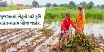 રાજ્યના 5 જિલ્લામાં પાક નુકશાન થતા 947 કરોડનું કૃષિ રાહત પેકેજ જાહેર કરાયુ | Agricultural relief pac…