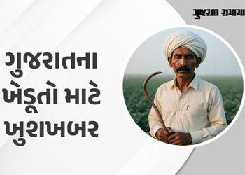 BREAKING: ગુજરાતના ખેડૂતો માટે દિવાળીના દિવસે મોટી જાહેરાત, રૂ. 947 કરોડનું કૃષિ રાહત પેકેજ જાહેર | …