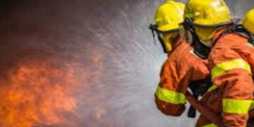 ‘અમારી માટે સાચી દિવાળી તો લાભપાંચમ પછી જ શરૂ થાય છે’ | ‘For us the real Diwali begins only after La…