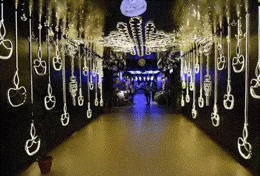 સ્ટેચ્યુ ઓફ યુનિટી ખાતે ‘પ્રકાશ પર્વ’ની ઉજવણી: 5 કરોડ LED લાઇટ્સથી કેવડિયા ઝગમગી ઉઠ્યું, પ્રવાસીઓ અભ…