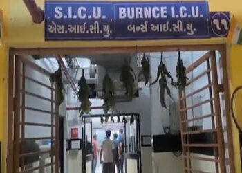 જૂનાગઢમાં દિવાળીની રાત્રે લોહીયાળ ઝઘડો: ફટાકડા ફોડવાની નજીવી બાબતે યુવકને મોતને ઘાટ ઉતારાયો, ત્રણની …