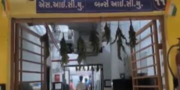 જૂનાગઢમાં દિવાળીની રાત્રે લોહીયાળ ઝઘડો: ફટાકડા ફોડવાની નજીવી બાબતે યુવકને મોતને ઘાટ ઉતારાયો, ત્રણની …