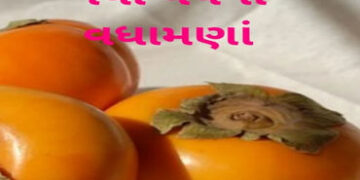 નવી આશા સાથે આજે નવા વર્ષના વધામણાં | Happy New Year today with new hope