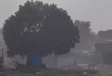 VIDEO : નવા વર્ષે ગુજરાતના અનેક જિલ્લામાં કમોસમી વરસાદ, આગામી 6 દિવસ વરસાદનું એલર્ટ | Gujarat Rain I…