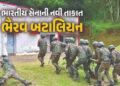 ભારતીય સૈન્યમાં તૈયાર થઇ રહી છે ઘાતક ‘ભૈરવ બટાલિયન’, ભવિષ્યના યુદ્ધમાં દુશ્મનને હંફાવશે | Bhairav Ba…