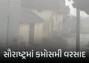 સૌરાષ્ટ્રમાં કમોસમી વરસાદ: અમરેલી-વેરાવળમાં ખેડૂતોની ચિંતા વધી, ઘોઘા બંદર પર 3 નંબરનું સિગ્નલ | Unse…
