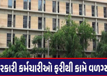 સુરેન્દ્રનગર જિલ્લામાં આજથી બજારો અને સરકારી કચેરીઓ ફરી ધમધમશે | Markets and government offices will…