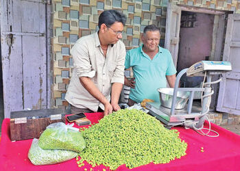 ફોલેલા દાણાનો ભાવ આસમાને : રૂા. 1200 ના કિલો | The price of roasted grains has skyrocketed: Rs 1200 …