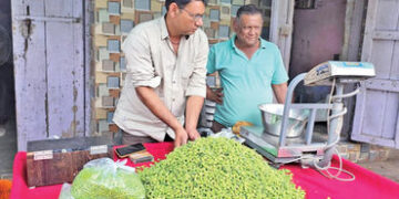 ફોલેલા દાણાનો ભાવ આસમાને : રૂા. 1200 ના કિલો | The price of roasted grains has skyrocketed: Rs 1200 …