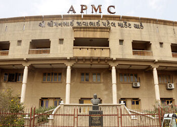 ગુજરાતની વિવિધ APMC પર ભાજપના મળતીયાઓનો કબજો, ગોડાઉનનો મફત ઉપયોગ અને ખેડૂતોને ઠેંગો | Political Grip…