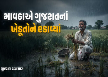 માવઠાએ ગુજરાતનાં ખેડૂતોને રડાવ્યાં: 50 રૂપિયે વેચાતા કેળાં 5માં વેચવા મજબૂર, બાગાયતી પાકોમાં સડો પેઠ…