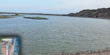 સિહોરના ગૌતમેશ્વર તળાવમાંથી પીવાનું પાણી વિતરણ કરવા માંગ | Demand to distribute drinking water from …